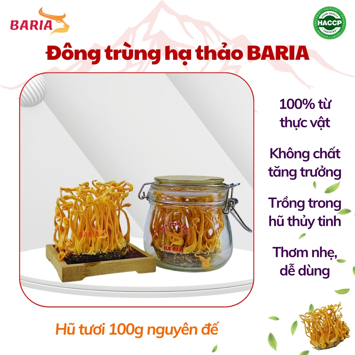 DongtrunghathaotuoiBARIA